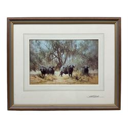 David Shepherd (British 1931-2017): Water Buffalos, colour print signed and inscribed verso 17cm x 25cm