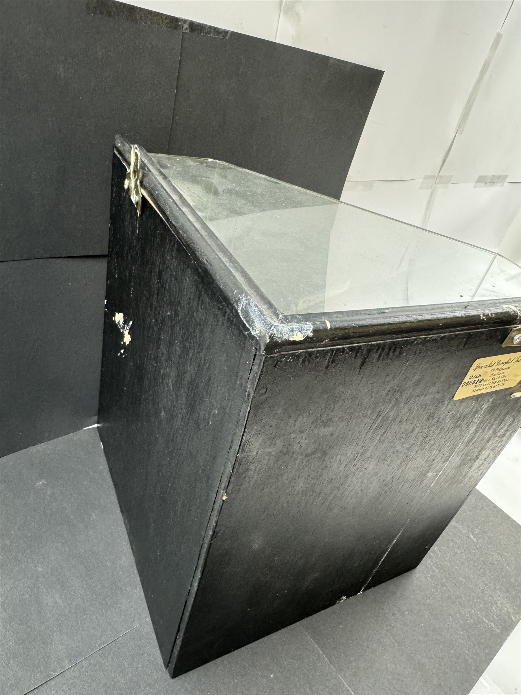 Taxidermy: Cased Little Auk (Alle alle), immature full mount, stood upon a painted faux rock ledge,the backdrop as a cliff with moss, enclosed within a ebonised angled four-glass display case, H32cm