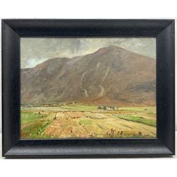 Herbert F Royle (British 1870-1958): Scottish Upland Fields, oil on board signed 30cm x 40cm