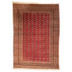 Large Afghan Bokhara crimson ground carpet, the field with rows of repeating Gul motifs an...