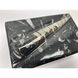 Three piece desk set, comprising letter rack, dish and box with raised Orthoceras to the lid, all with Orthoceras and Goniatite inclusions, age: Devonian period, location: Morocco