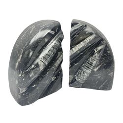 Pair of marble bookends with orthoceras and goniatite inclusions, age: Devonian period, location: Morocco, H15cm