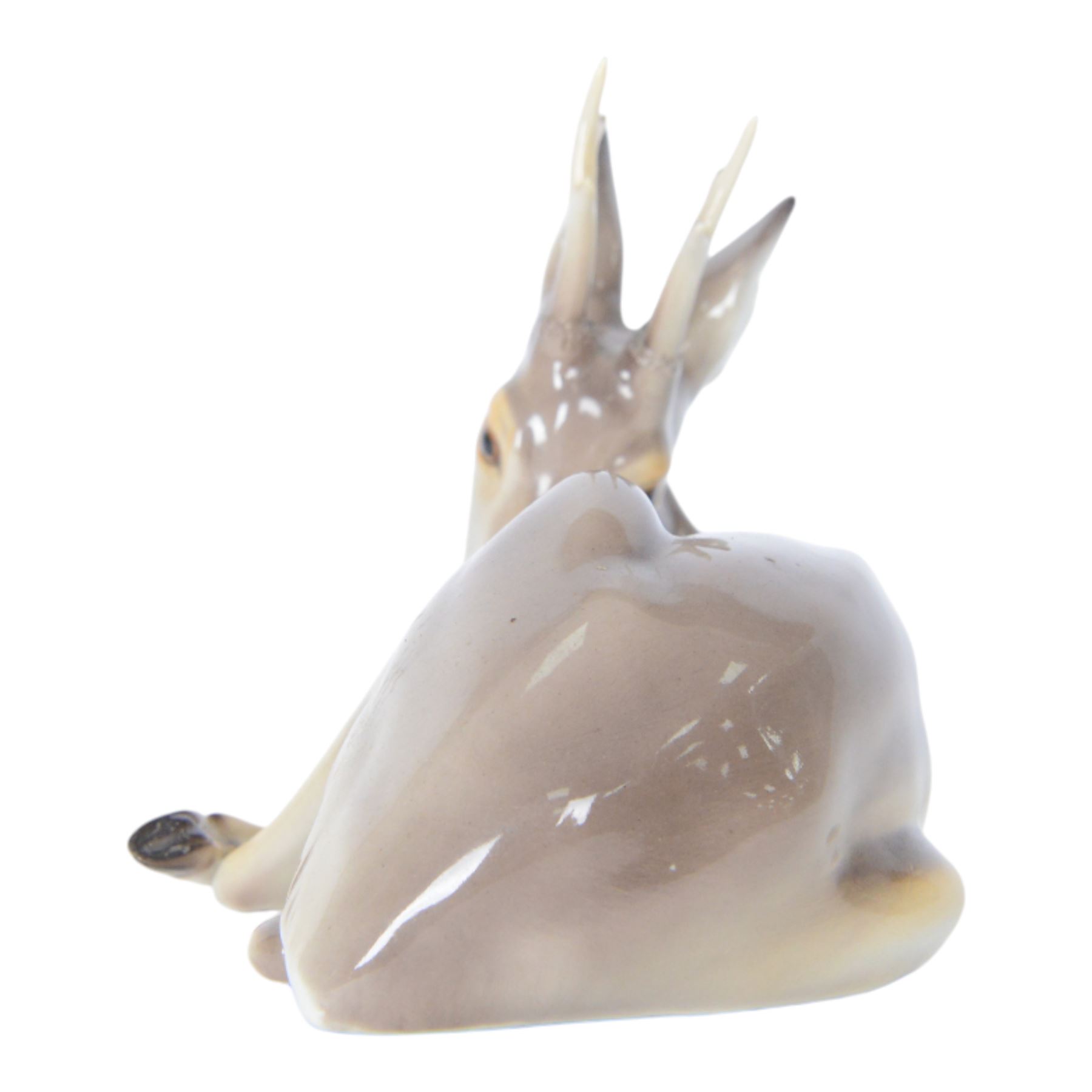 Nymphenburg, recumbent roebuck, model no. 423, with impressed mark beneath, H14cm