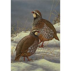Robert E Fuller (British 1972-): Red Legged Partridges in Snow, limited edition colour print signed and numbered 15/850 in pencil 30cm x 22cm