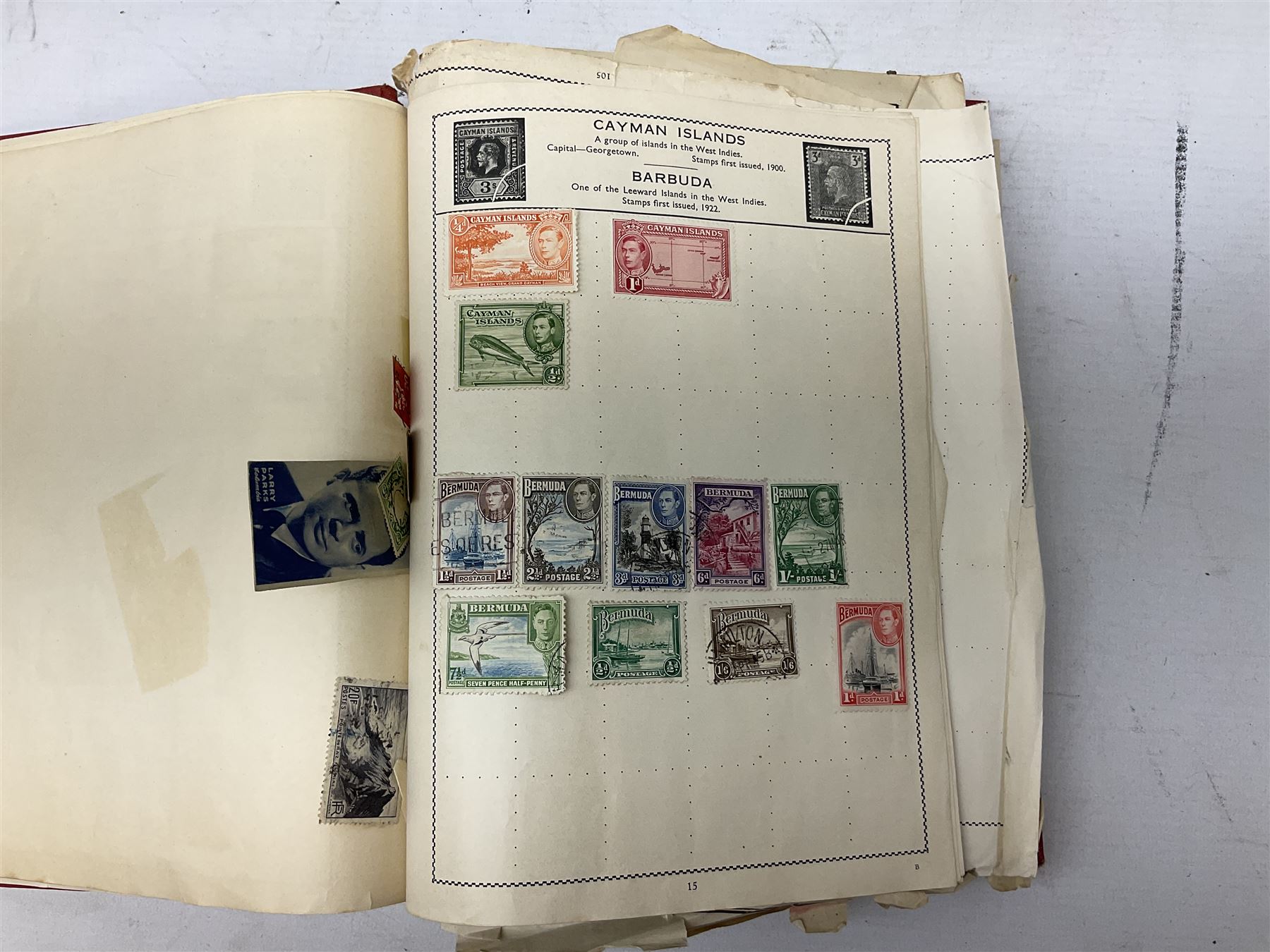 Stamps including Argentina, Austria, Belgium, Canada, Egypt, Germany, Hungary, Queen Victoria and later Great British etc, housed in two albums