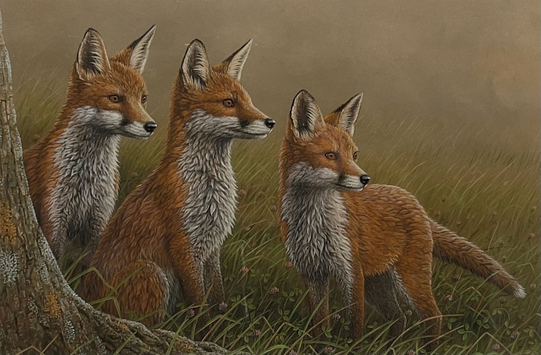 Robert E Fuller (British 1972-): Red Foxes in Long Grass, limited edition colour print signed and numbered 8/850 in pencil 20cm x 30cm