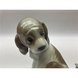 Four Lladro figures, comprising Playing Poodles in matte finish no 11258, Friend for Life 7685, Little Hunter no 6212 and Gentle Surprise no 6210, three with original boxes, largest example H15cm 