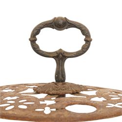 Victorian cast iron cane or stick stand, the top with a large loop lifting handle and floral design above geometric pierced decoration, central vertical rod, and octagonal base with lion paw feet