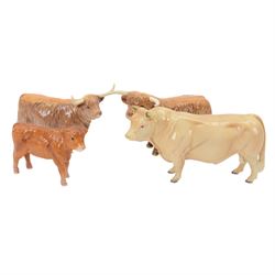 Beswick Highland Cattle family group, comprising bull, cow and calf, together with Charolais bull