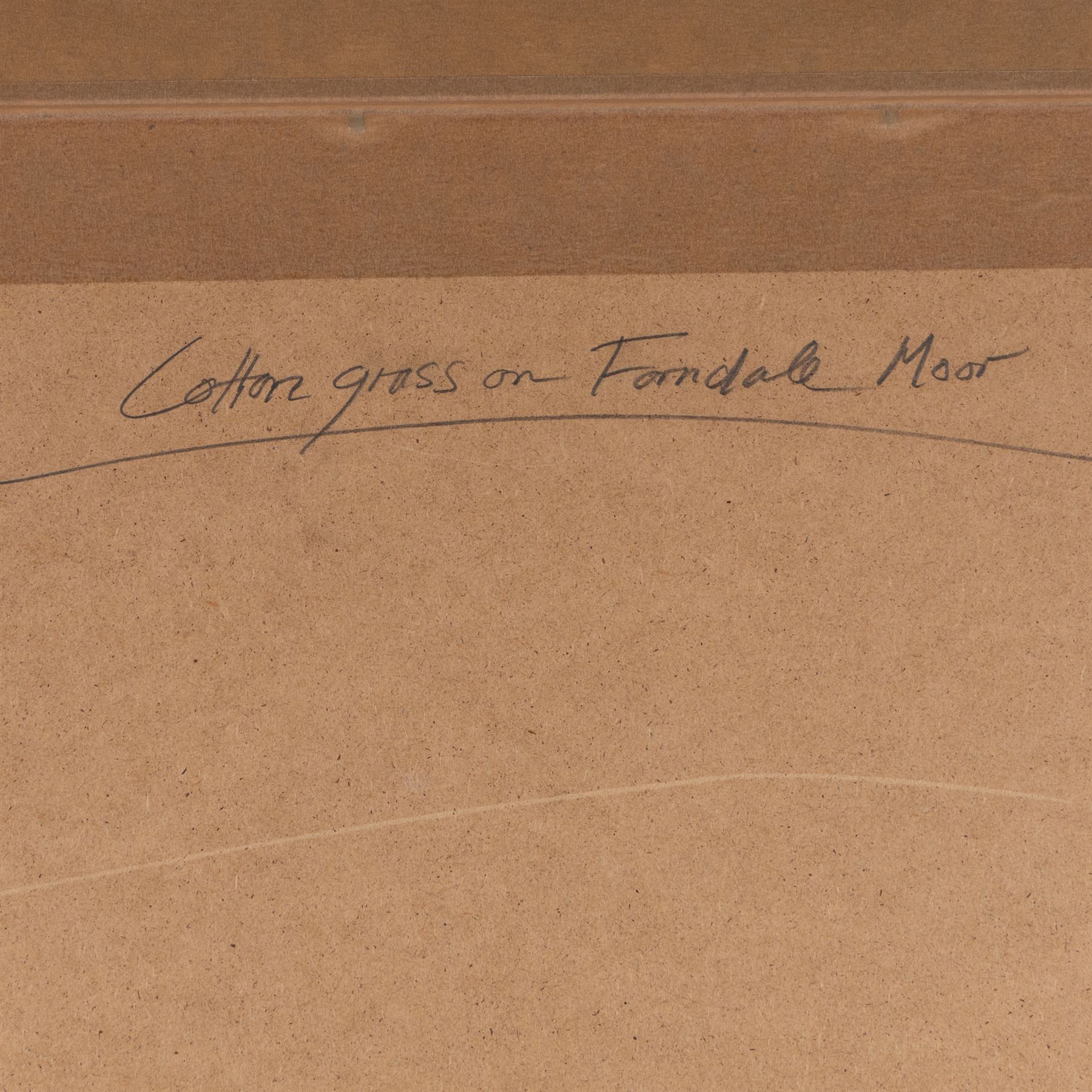 Jim Miller Wright (Scottish 1954-): 'Cotton Grass on Farndale Moor' North York Moors, oil signed with monogram, titled verso 51cm x 72cm 