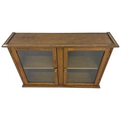 20th century low oak and glazed bookcase, double cupboard enclosing two shelves