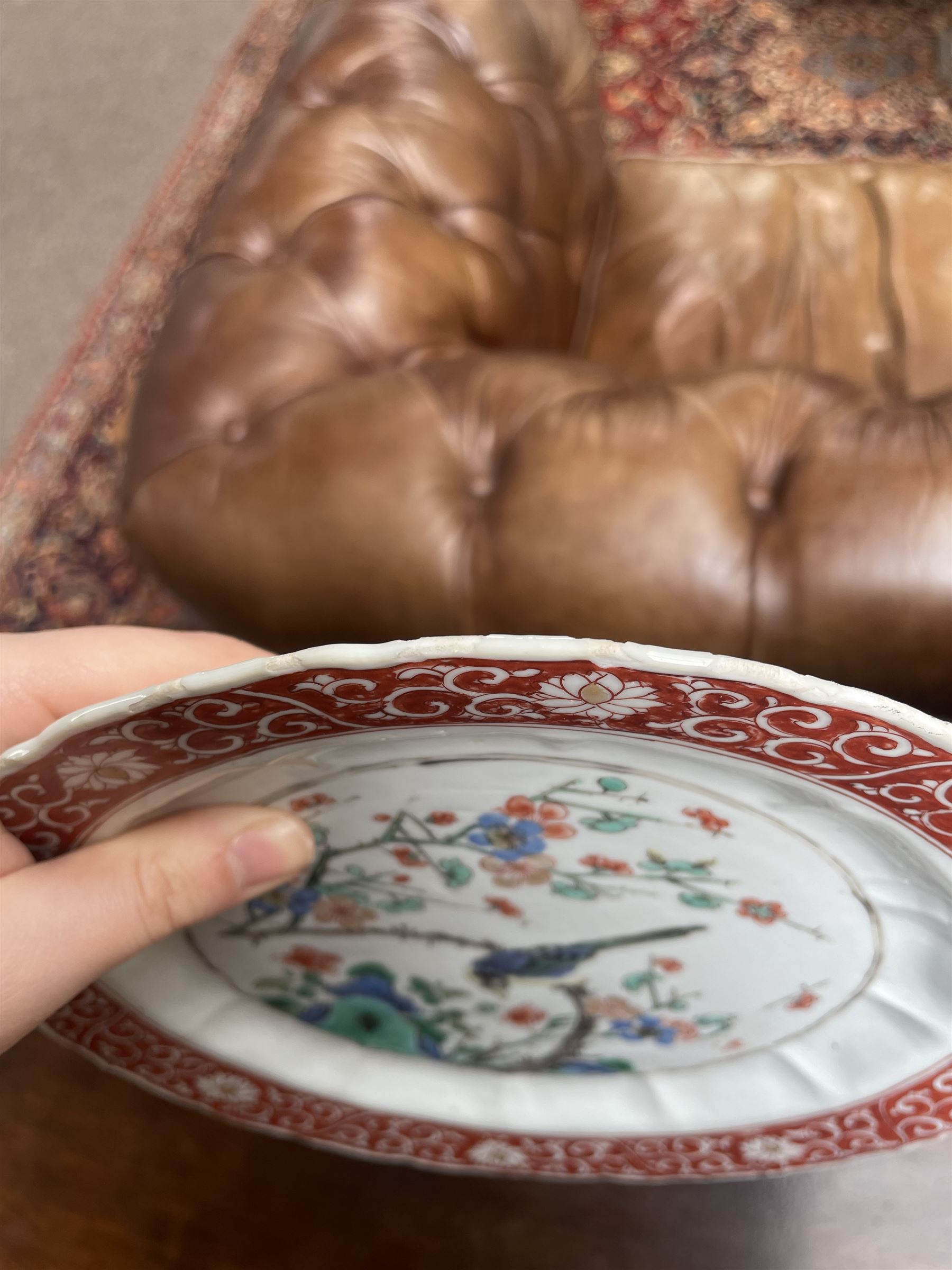 Chinese Kangxi famille verte plate, decorated with a bird perched upon a blossoming branch, within an iron red foliate border, D22cm