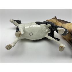 Beswick dun Highland pony no 1644 and piebald Pinto Pony  no 1373, both with printed mark beneath