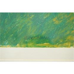 Susan Brown (Northern British 1956-): 'Quack March', pastel signed, titled verso 25cm x 37cm 