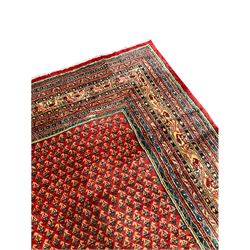 Persian Araak red ground carpet, the field decorated all over with repeating Boteh motifs, large multi-band patterned border 