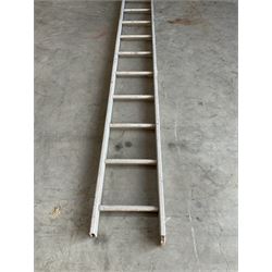 Ramsay 24 rung 2.4m single ladder