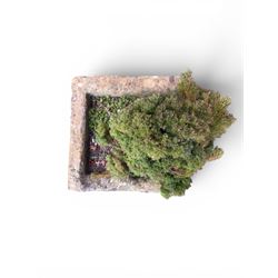 19th century hewn stone planter of square form, planted 