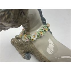 Lladro figures of animals, comprising Mini Lion no 5436, Beautiful Burro no 5683, Hawk Owl no 5422, Beagle Puppy Sitting no 1071, Duck Flying no 1264, Miniature Cat no 5308 and Small Papillon Dog no 4749, four with original boxes, largest example H14cm