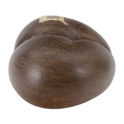 Coco De Mer (Lodoicea Maldivica) with license label, 1960/1970, Lodoicea, commonly known as the sea coconut, coco de mer, or double coconut, a seed of the palm family, from the islands of Praslin and Curieuse in the Seychelles