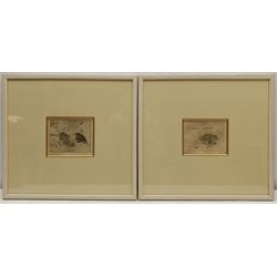 Sjoerd Kuperus (Dutch 1893-1988): Bird Studies, pair etchings signed and titled in pencil 10cm x 12cm and 11cm x 13cm (2)