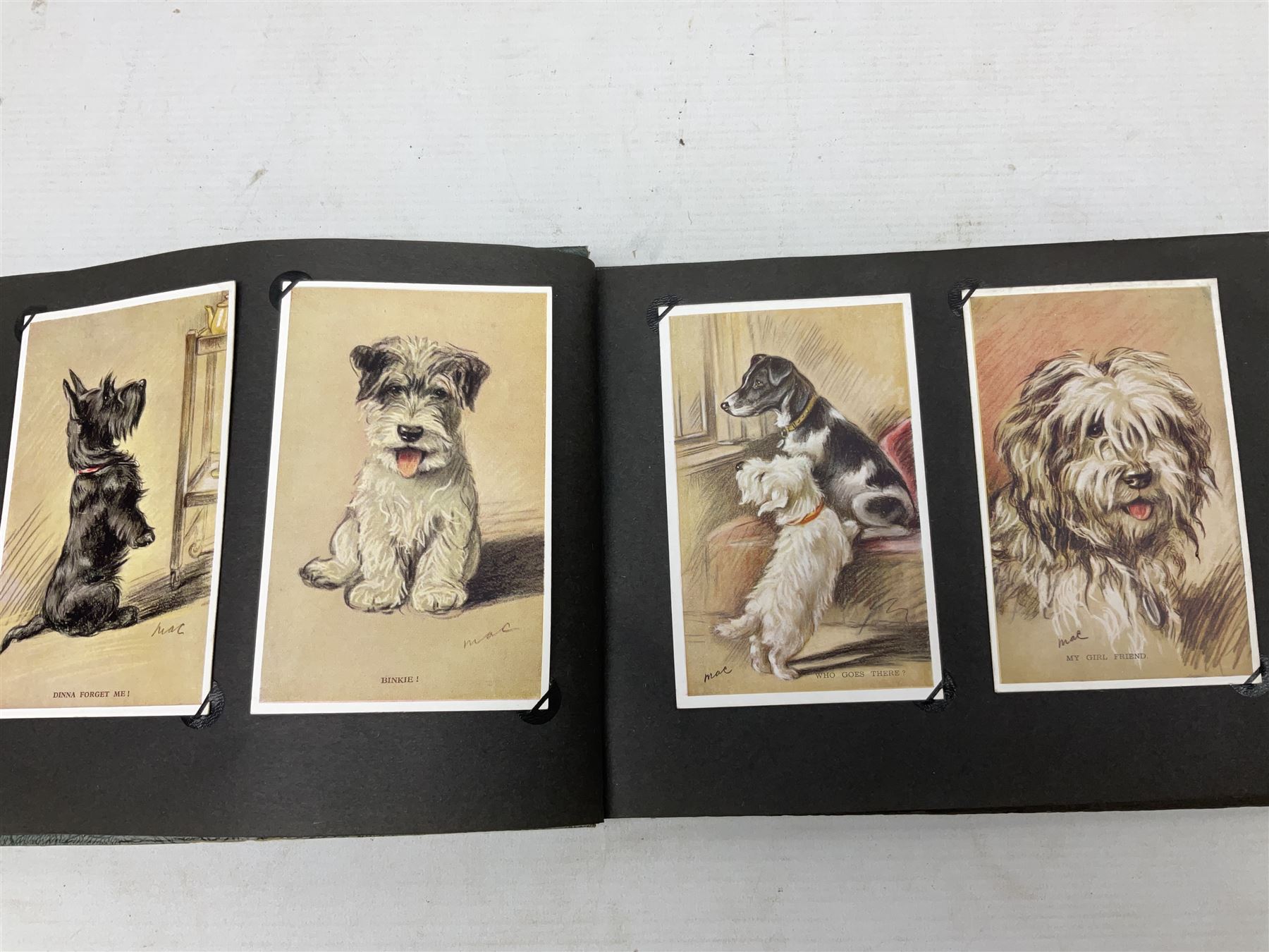 Three albums of cigarette cards including Wills Recruiting Posters, Military Motors and Allied Army Leaders, cricketers etc; another album containing a large quantity of laid-in cigarette cards; and an album of thirty-seven postcards of dogs by Mac (5)