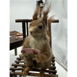 Anthropomorphic Taxidermy: Two red squirrels (Sciurus vulgaris), both seated upon a chair holding playing cards, one smoking a pipe 