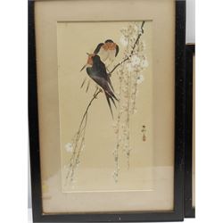 Chinese School (Early 20th century): Birds on a Branch and Dragonfly, pair watercolours and one similar, each with character signatures, 34cm x 19cm and 24cm x 24cm (3)