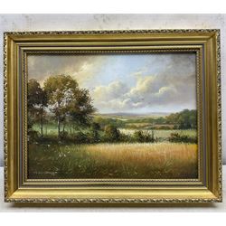 Richard Blowey (British 1947-): Cornish Landscape, oil on canvas signed 29cm x 39cm 