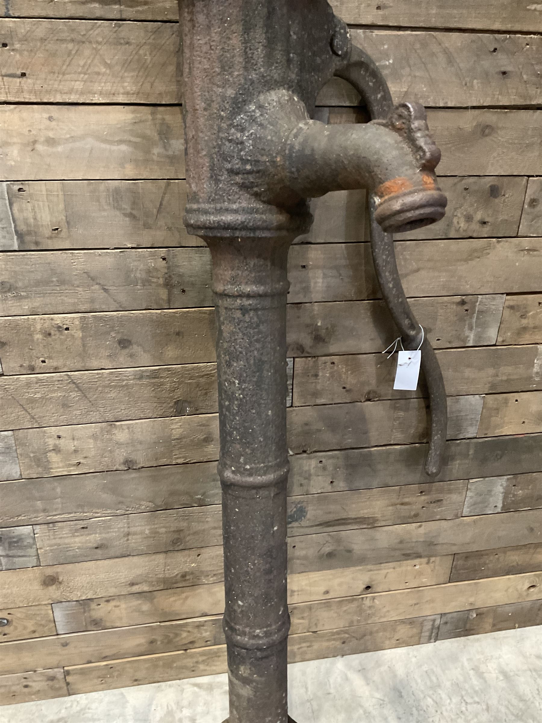 19th century cast iron water pump, lion crest with registration mark