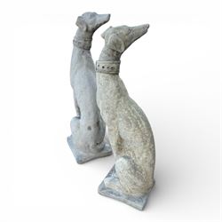Pair of small cast stone  seated garden greyhounds, on square plinth bases