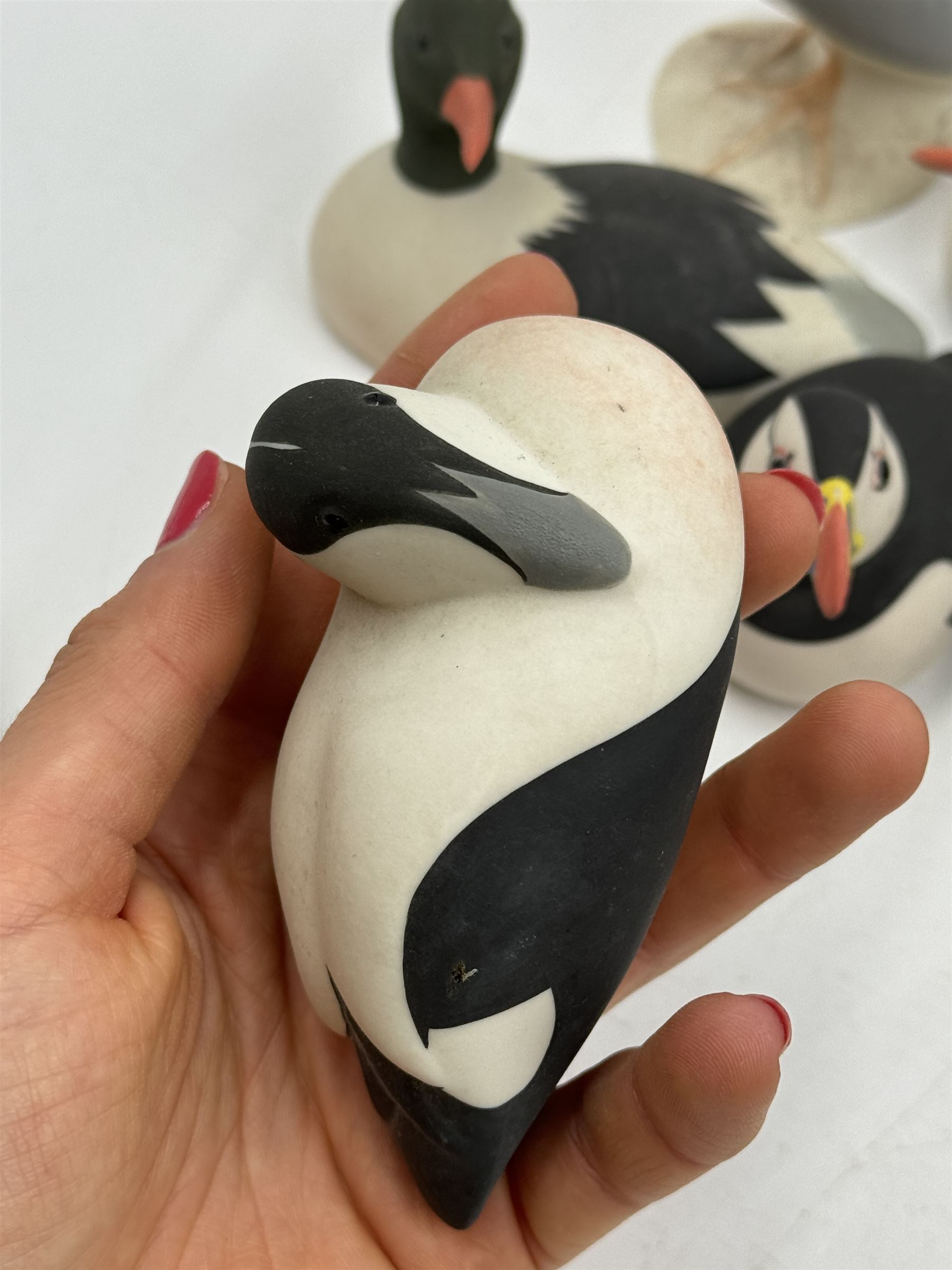 Group of eleven Scottish 'Isle of Arran' bisque porcelain birds, to include Great Northern Diver, Eider, great Crested Greebe, Artic Tern, King Penguin, etc.
