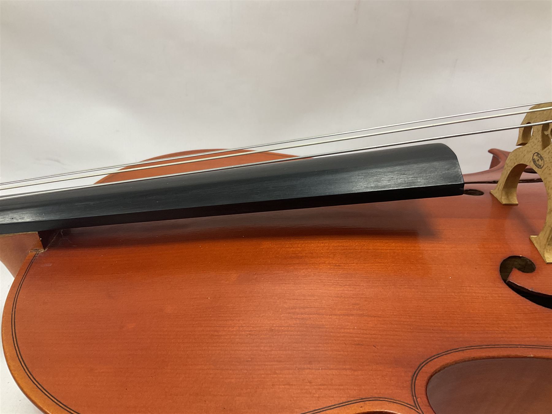 3/4 size cello with soft case, 69cm back length, 114cm full length, with bridge, ebonised tail piece and fingerboard.