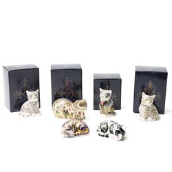 Six Royal Crown Derby paperweights, comprising 'Misty' collectors cat with gold stopper, S...