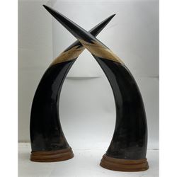 Pair of carved buffalo horns, engraved in low relief with tigers, dragons and birds, upon stepped wooden stands, H42cm