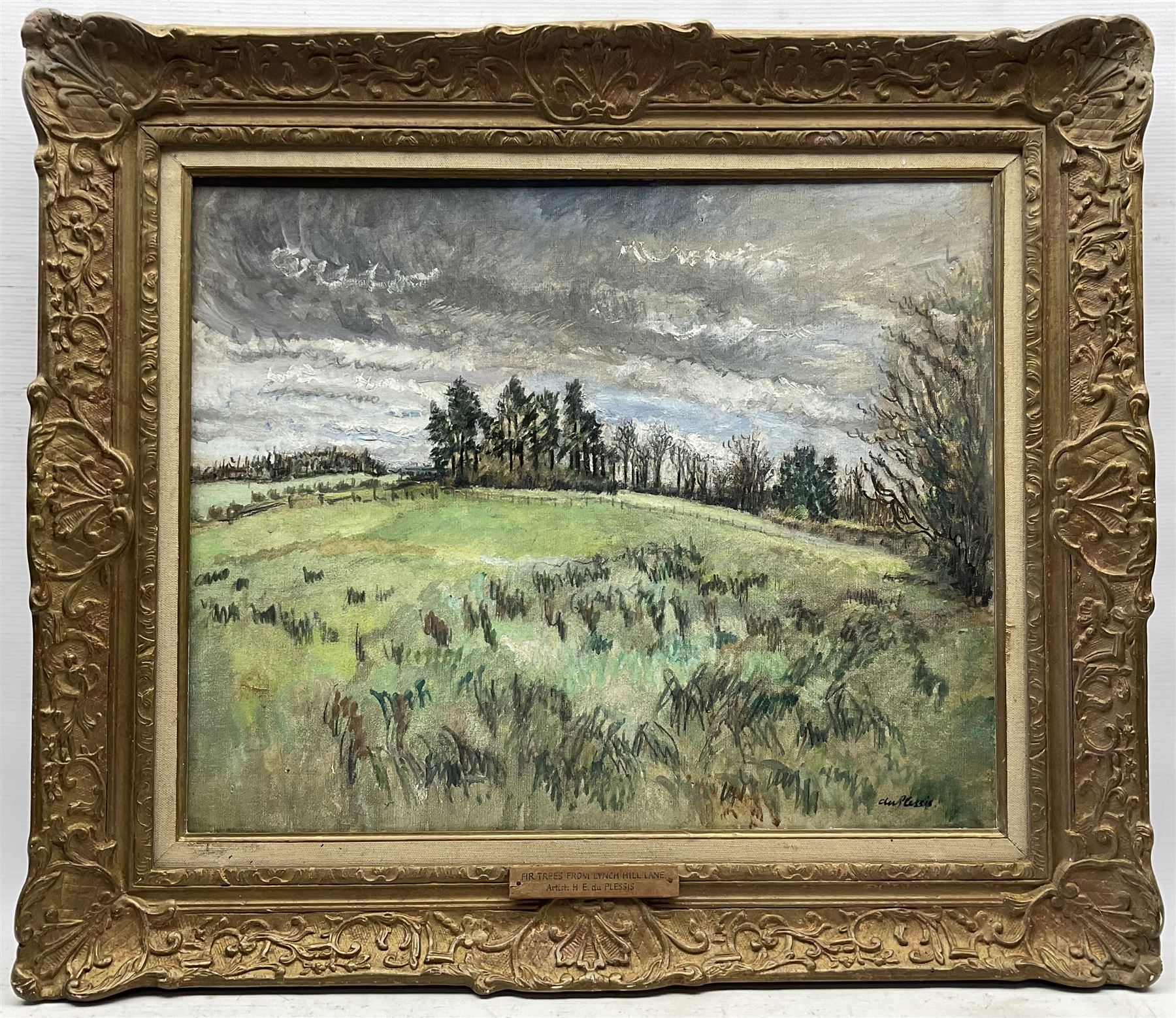 Enslin Hercules Du Plessis (South African 1894-1978): 'Fir Trees from Lynch Hill Lane', oil on canvas signed, titled on the frame 48cm x 59cm