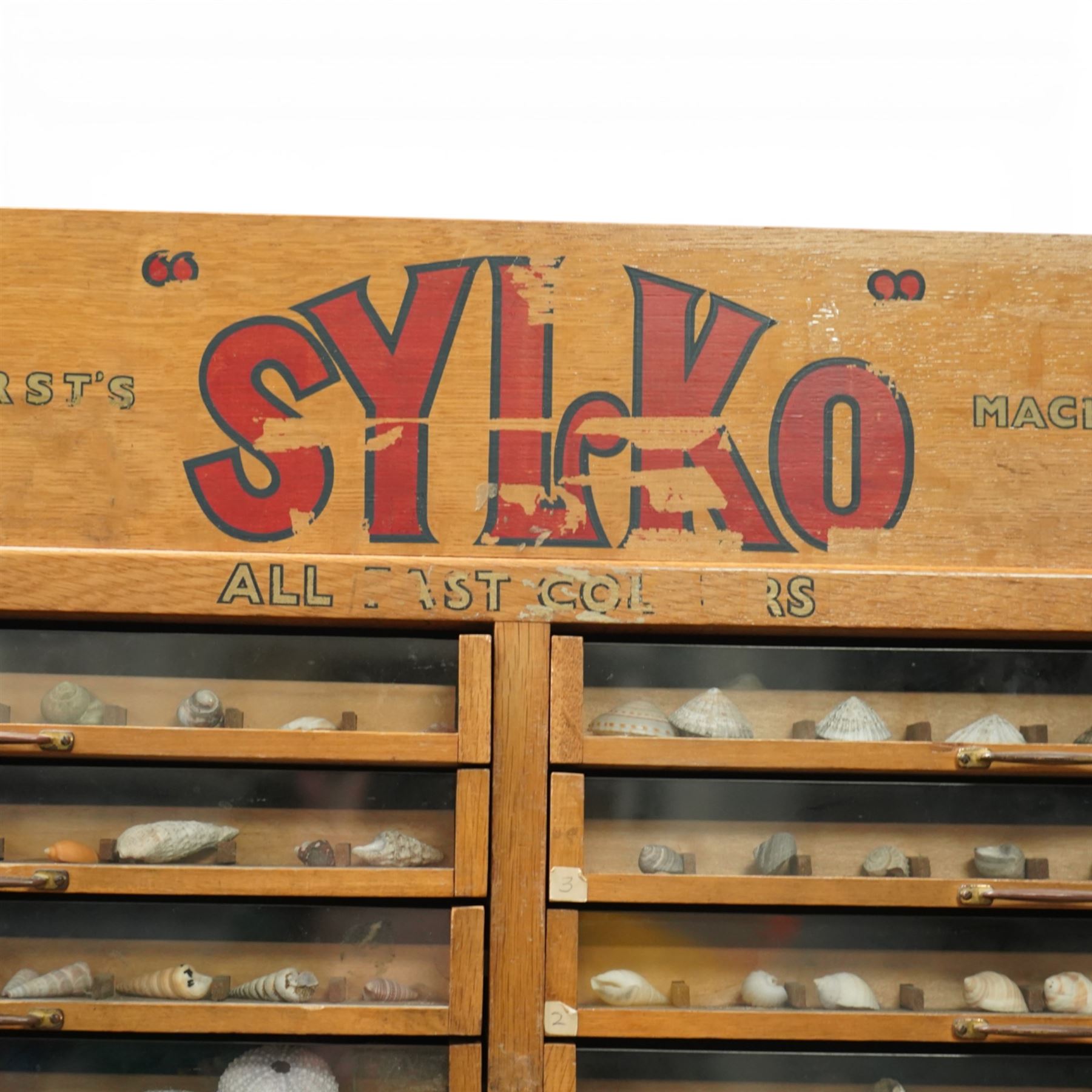 Sylko display cabinet, with fifty drawers with glass fronts, each drawer divided into eight sections displaying shells, with two door cupboard beneath
