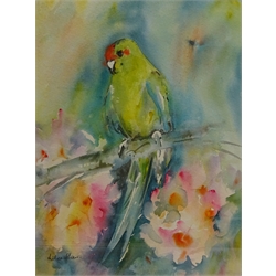  'The Helm', 'Endeavour Dawn' and 'Green Parrot', three watercolours signed by Leilea Shaw max 40cm x 28cm (3)  