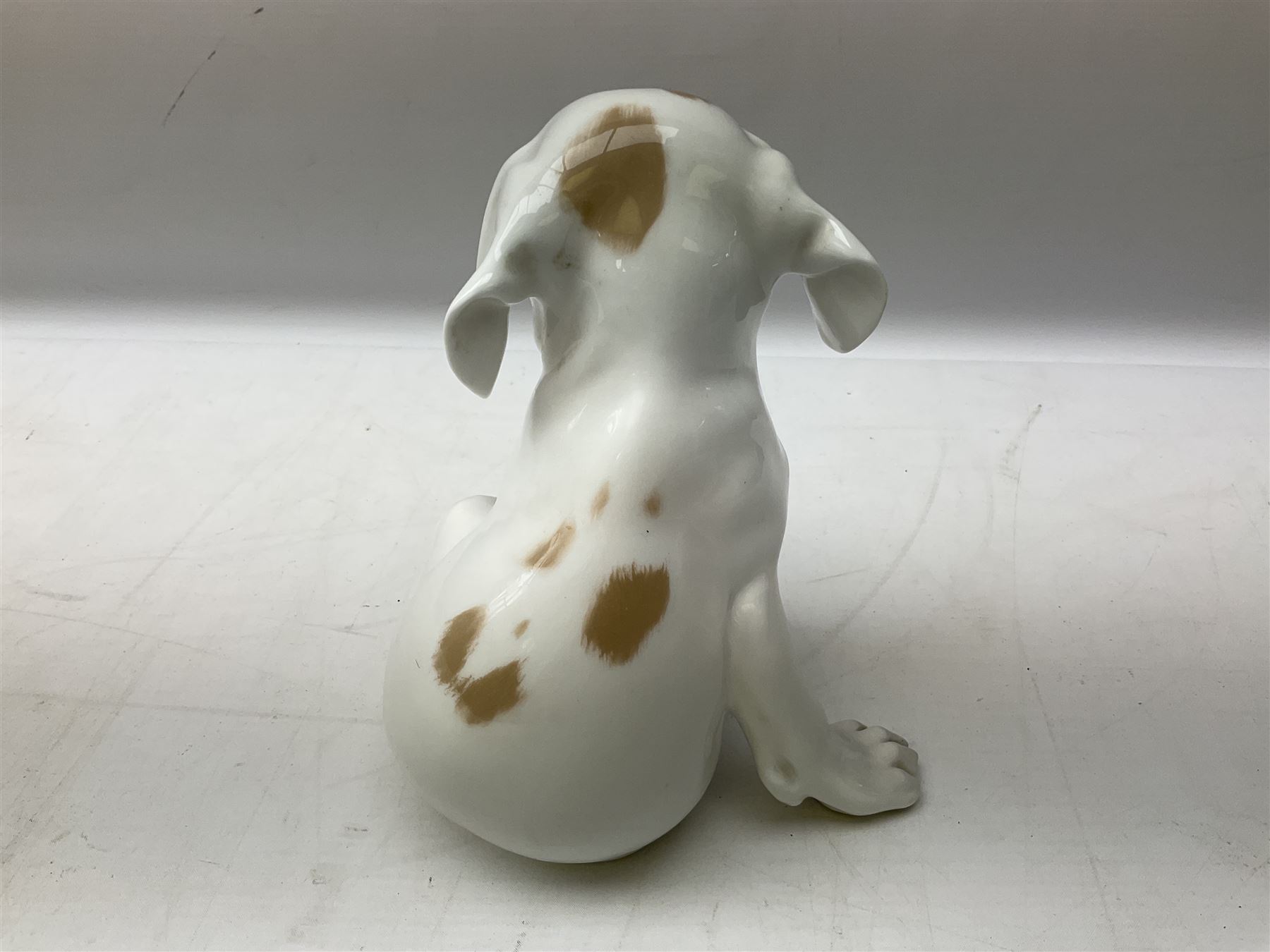 Royal Copenhagen figure of a pointer puppy, modelled seated with rare white and brown patch colourway, designed by Erik Nielsen, model no 259, date code for 1889-1922, with printed and painted marks beneath, H19cm
