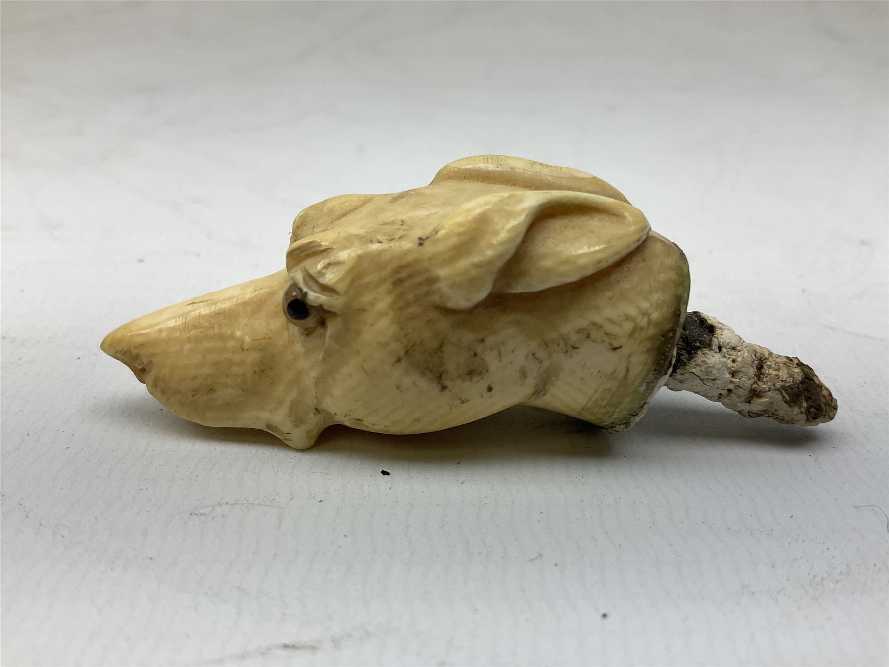 19th century carved ivory walking cane handle, modelled as the head of a greyhound with inset glass eyes, together with a further 19th century ivory example, modelled as a caricature of a gentleman's head, (2)