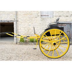 J. W. Thompson Dog Cart

A black and yellow painted two wheeled dog cart with elevated u...