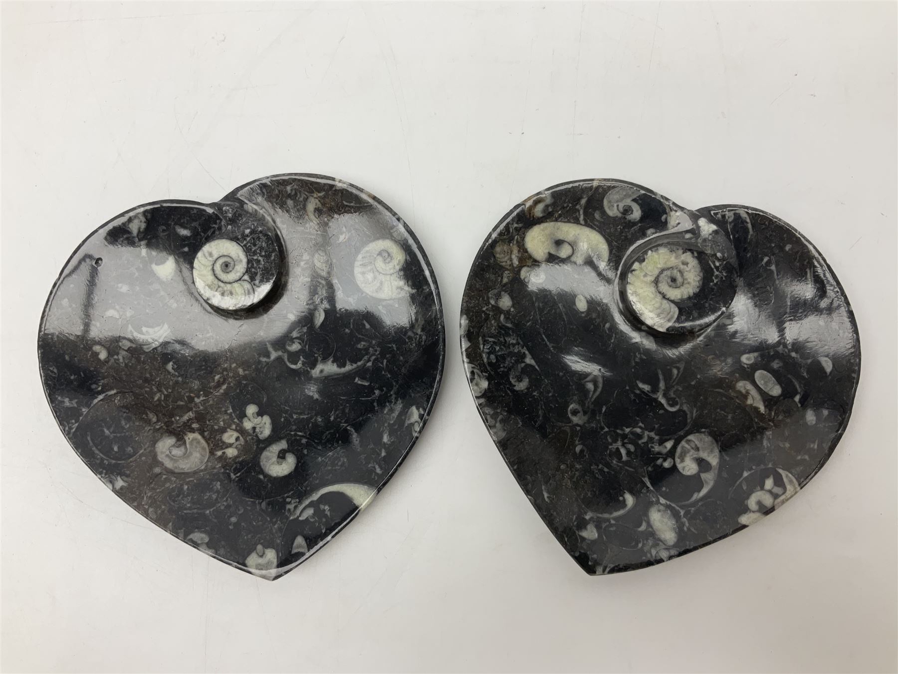 Pair of dishes in the form of hearts with a raised Goniatite to the centre and Orthoceras and Goniatite inclusions, age: Devonian period, location: Morocco, D16cm