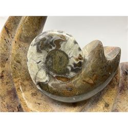 Goniatite sculpture, displaying two Goniatites within a polished and shaped matrix, age; Devonian period, H56cm