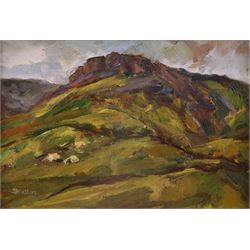 Sheila Dewsbury (British 1944-): 'Hillside - Saddleworth (Below Indian's Head - Greenfield...