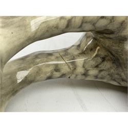 Beswick Shire horse in rocking horse grey no. 818, with printed mark beneath, H21cm