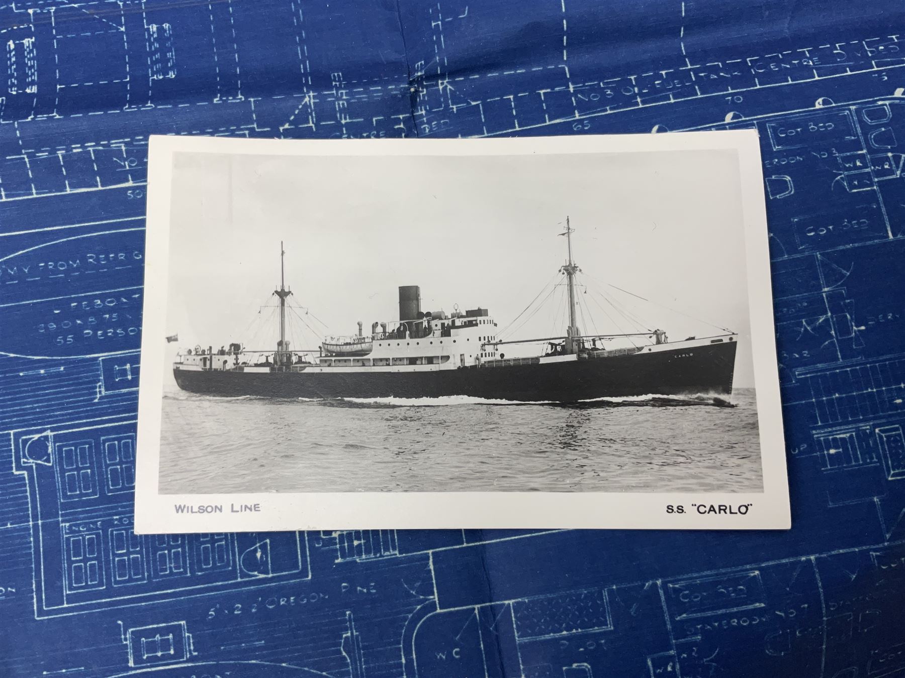 Blue print for the Ellerman's Wilson Line Ltd steam ship 'Carlo', entitled General Arrangement As Fitted' scale 1/8