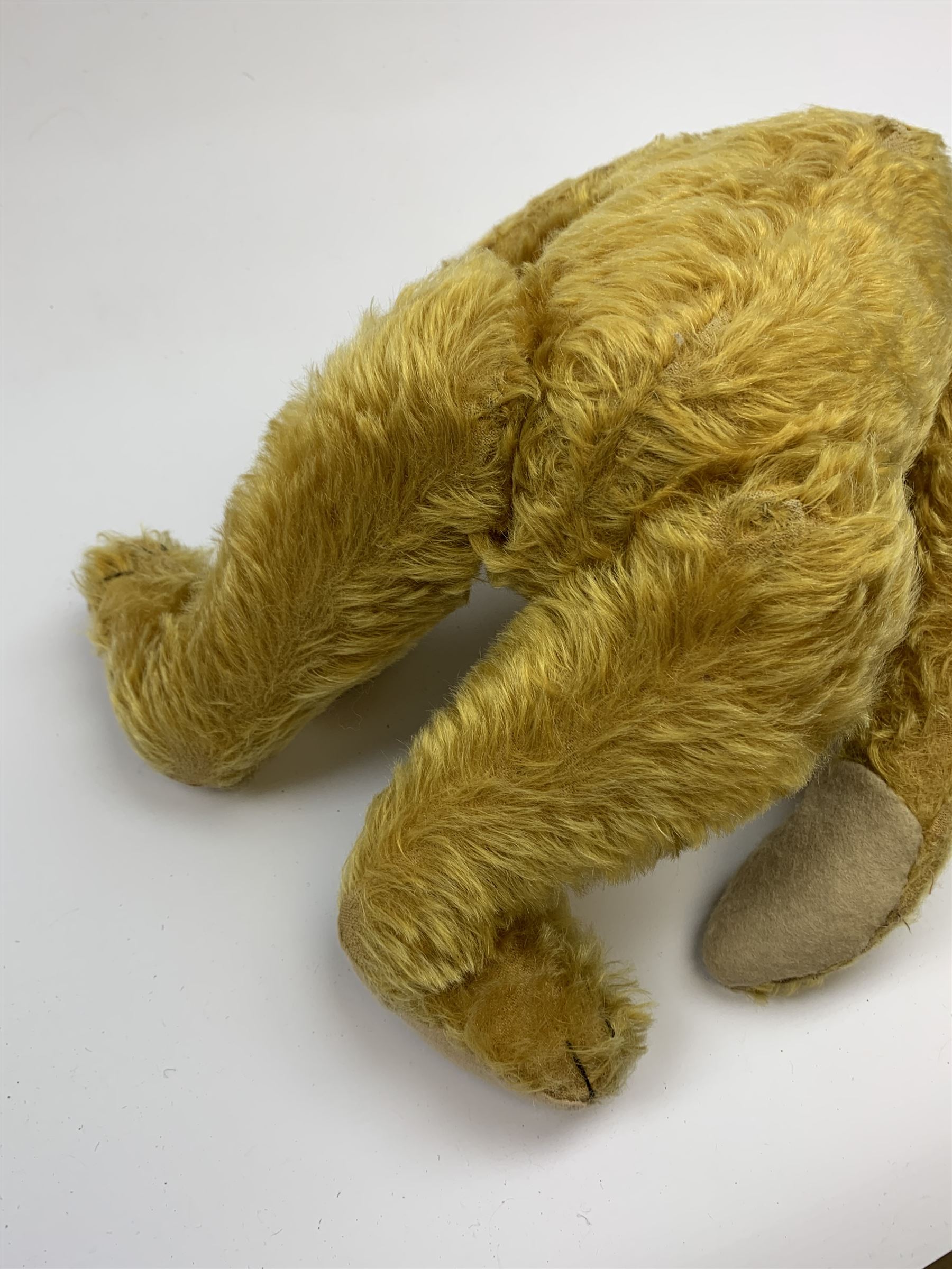 Early 20th century German teddy bear c1920, probably Steiff or Bing, with wood wool filled humped back golden mohair body, swivel jointed head with glass eyes and brown vertically stitched nose and mouth, jointed limbs with elongated arms and felt paw pads with black stitched claws H18