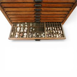 20th century oak printers cabinet, the rectangular top over a bank of twelve shallow drawers each fitted with a metal label handle, the drawers internally compartmentalised and containing an assortment of shells, raised on a shaped plinth base