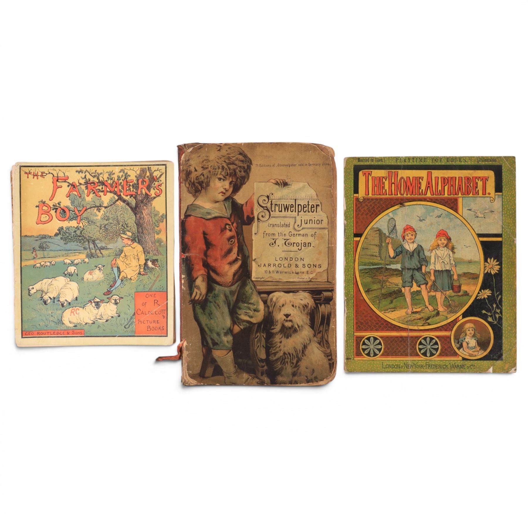 Collection of late 19th century/early 20th century picture books, titles including Mary and her Dog Tray, Struwelpeter Junior, The Home Alphabet, Noah's Ark, Squire Fox Went Out In a Hungry Plight, Old Mother Hubbard and Her Dog, Will You Walk in our Garden, The Alphabet of Old Friends etc