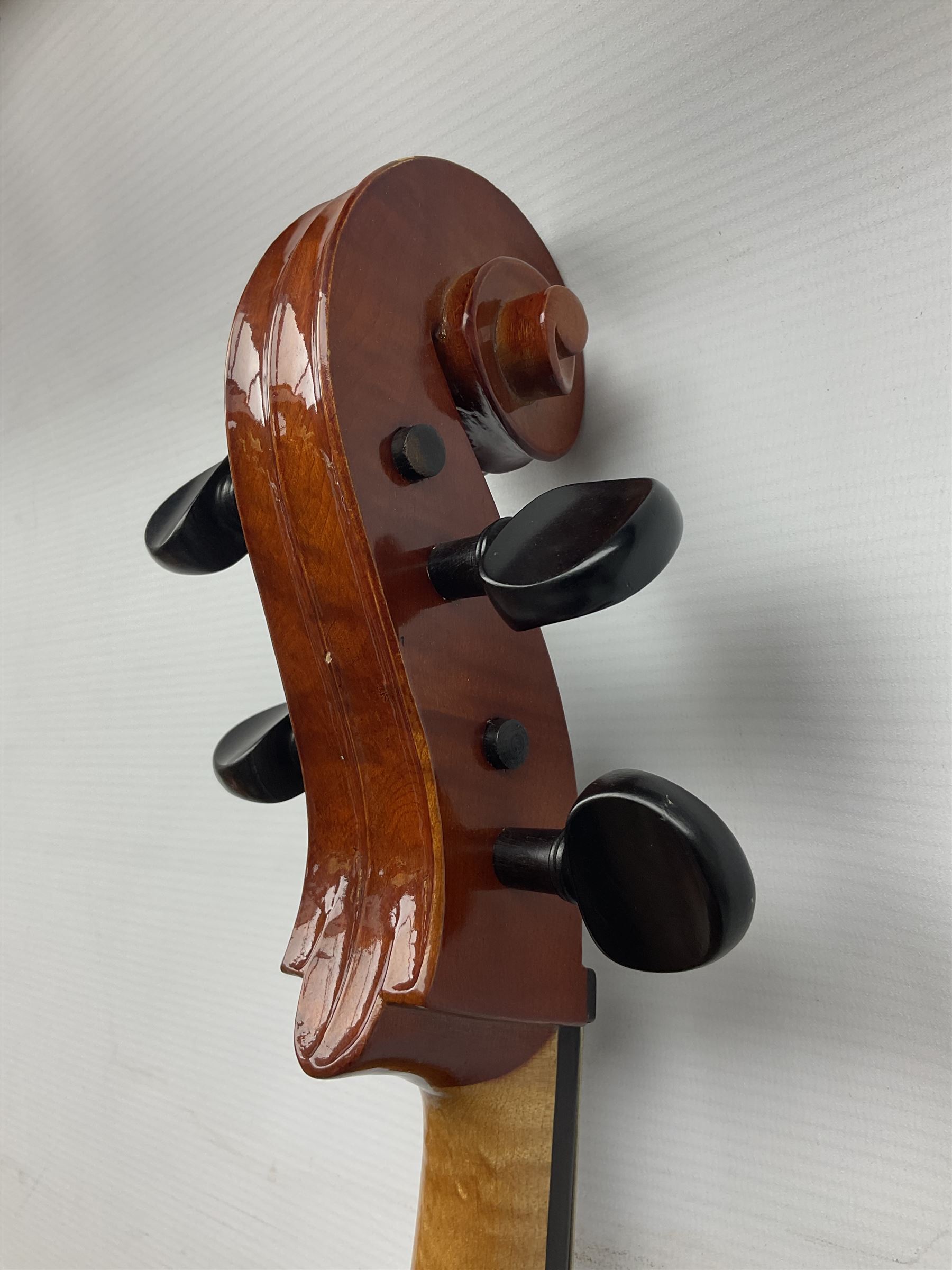 Modern Hungarian half-size cello with 69cm two-piece maple back and ribs and spruce top L114cm overall; and Stentor half size cello bearing label 'The Stentor Student II'; each in soft carrying case (2)