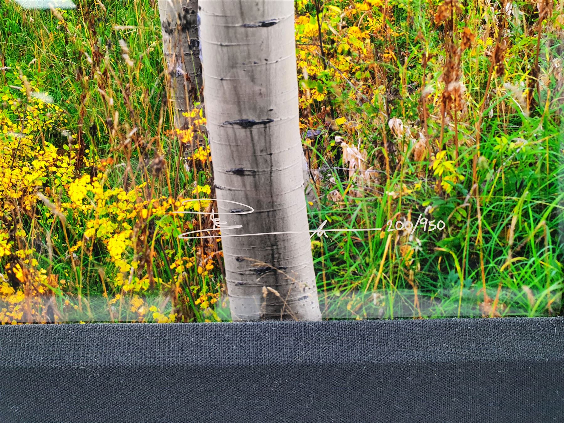 Peter Lik (Australian 1959-): 'Golden Dawn', limited edition ilfochrome photoprint signed and numbered 200/950, 49cm x 148cm